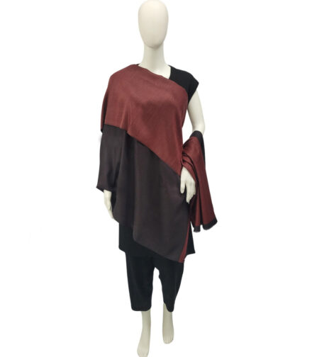 Shawl Reversible Pashmina