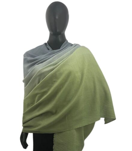 Shawl Ombre Pashmina