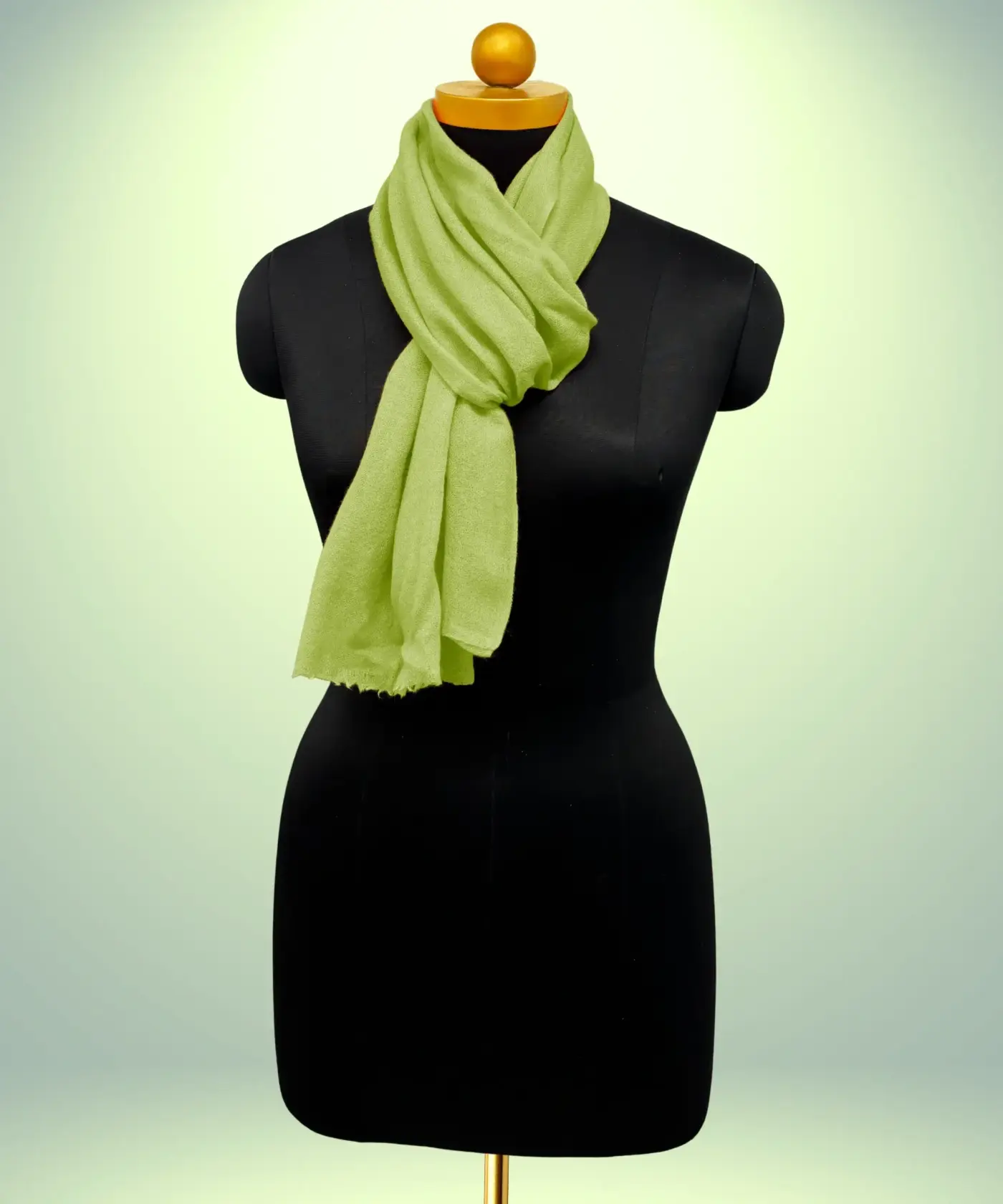 Scarf Plain Pashmina - Image 164