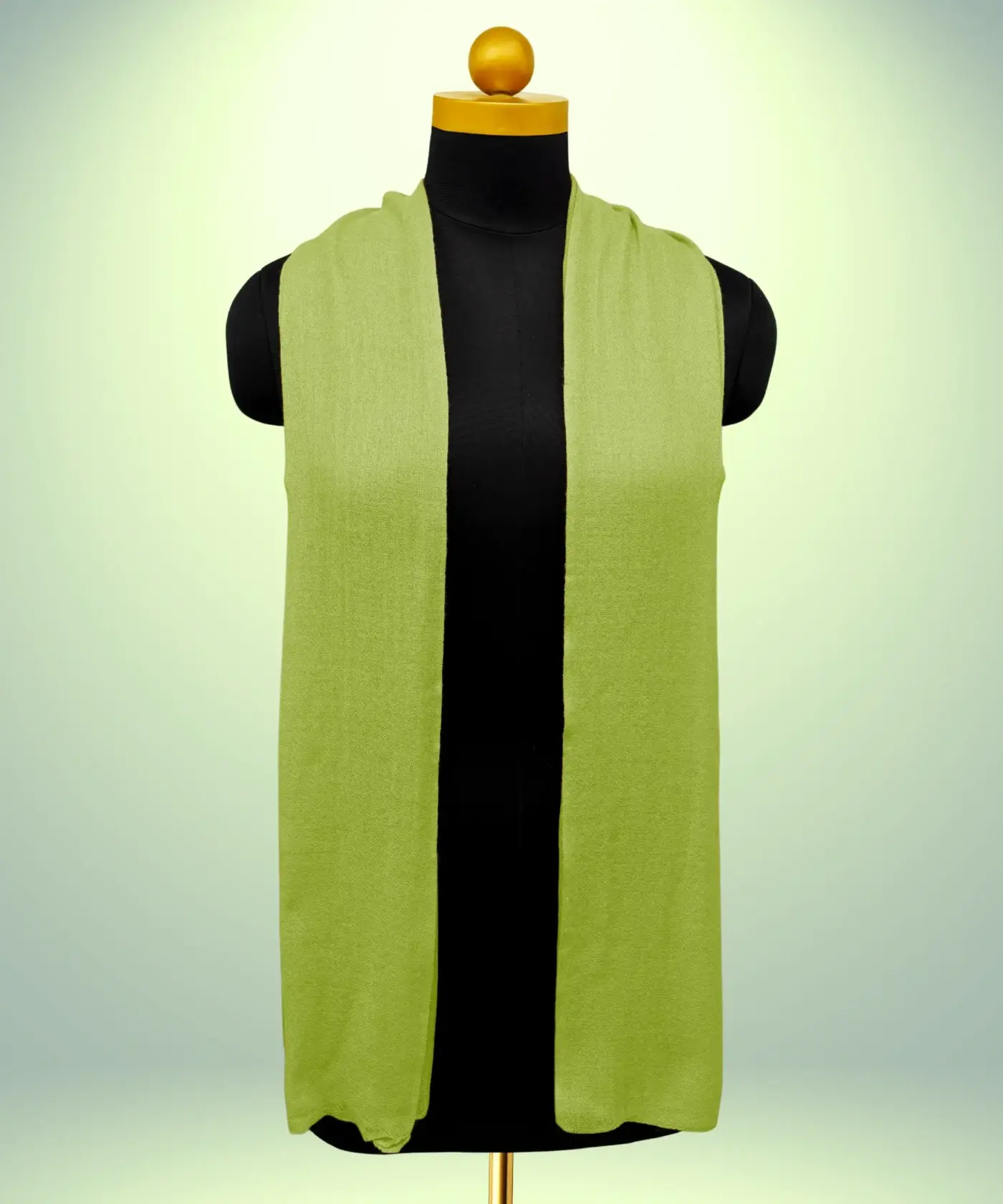 Scarf Plain Pashmina - Image 168
