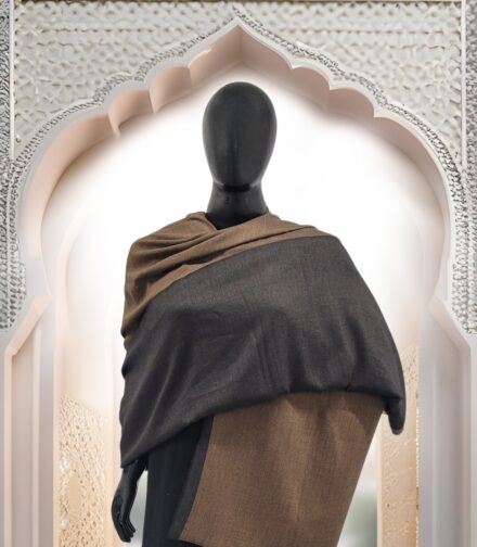 Shawl Reversible Pashmina
