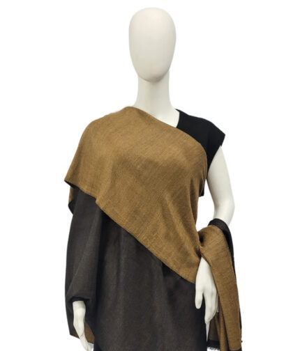 Shawl Reversible Pashmina Zari