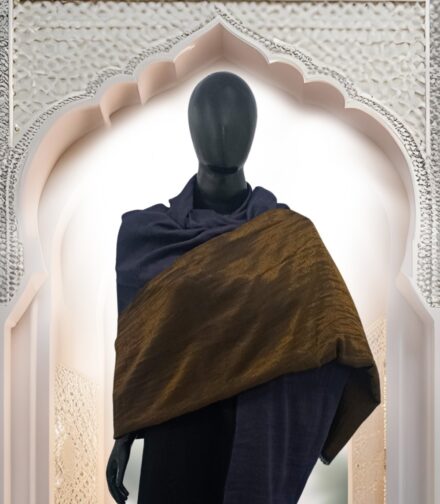 Shawl Reversible Pashmina Zari